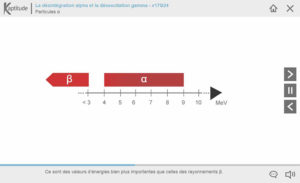 Désintégration α et désexcitation γ