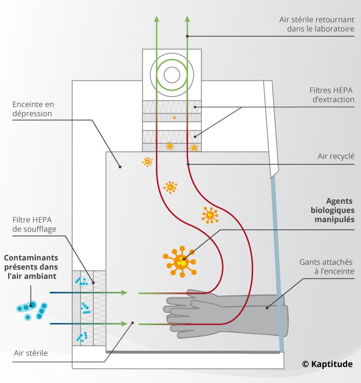 Hotte à flux laminaire vertical Hepa pour protection particulaires