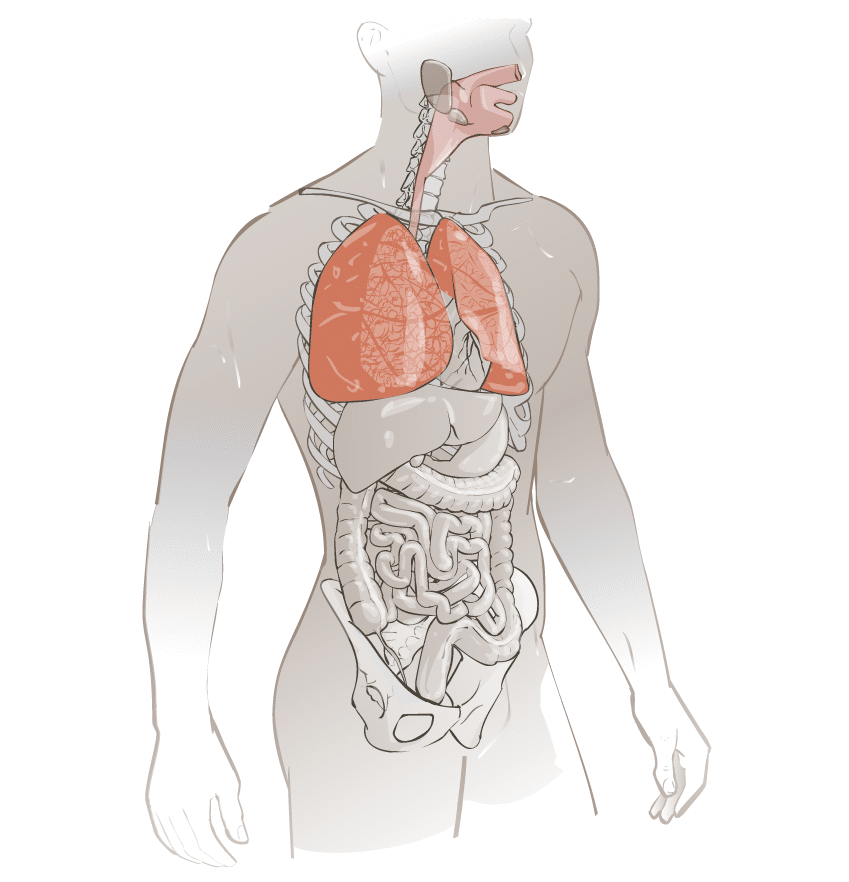 Agents Biologiques Voie Respiratoire